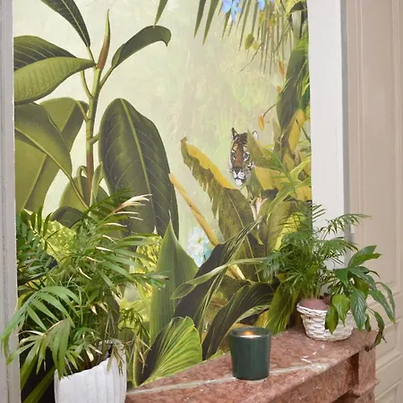 De Charme Au Cœur De Appartement Lyon