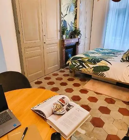 Apartament De Charme Au Coeur De Lyon