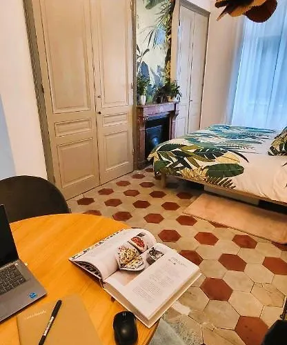 Апартаменты De Charme Au Coeur De Лион